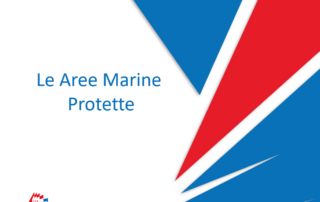 le aree marine protette